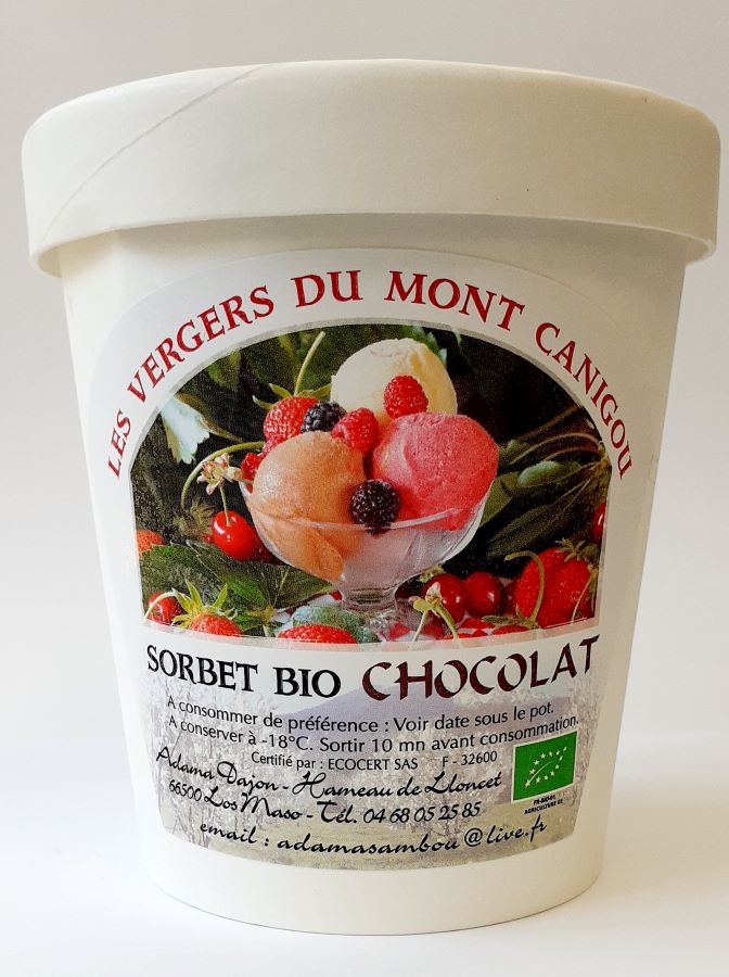 SORBET CHOCOLAT BIO 500ML