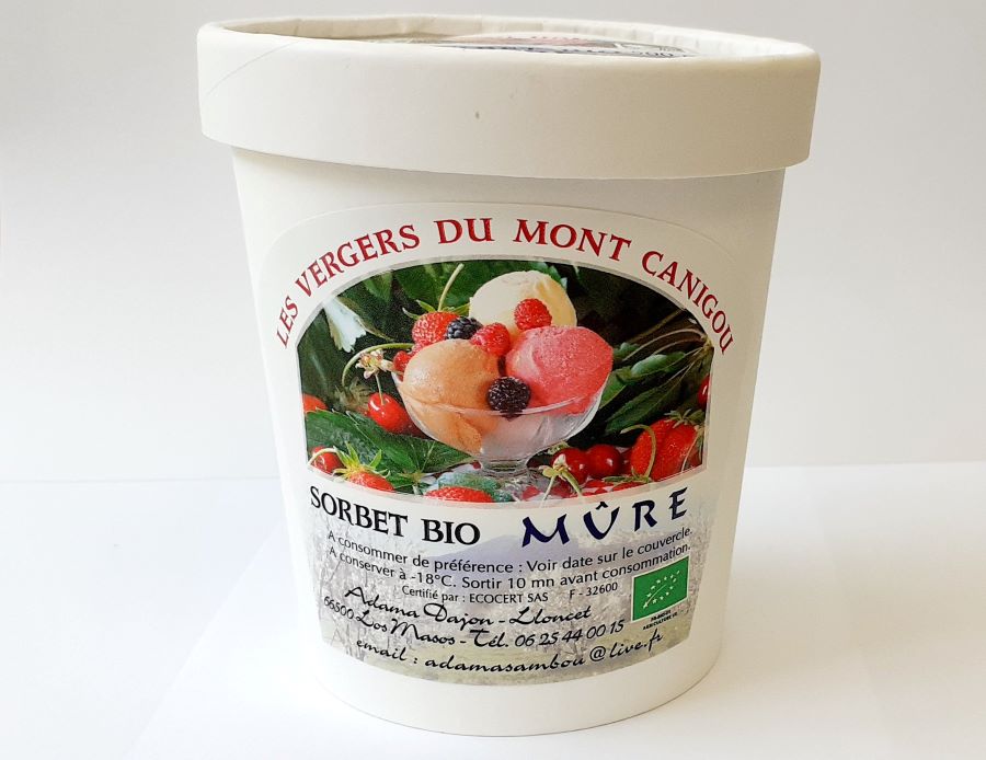 SORBET MÛRE BIO 500ML