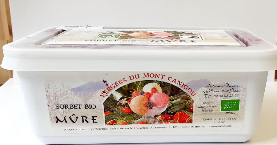 SORBET MURE BIO 1L