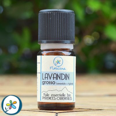 HE LAVANDIN GROSSO 10ML
