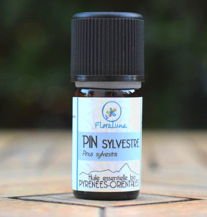 HE PIN SYLVESTRE 5ML