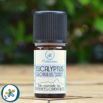 HE EUCALYPTUS GLOBULUS 5ML