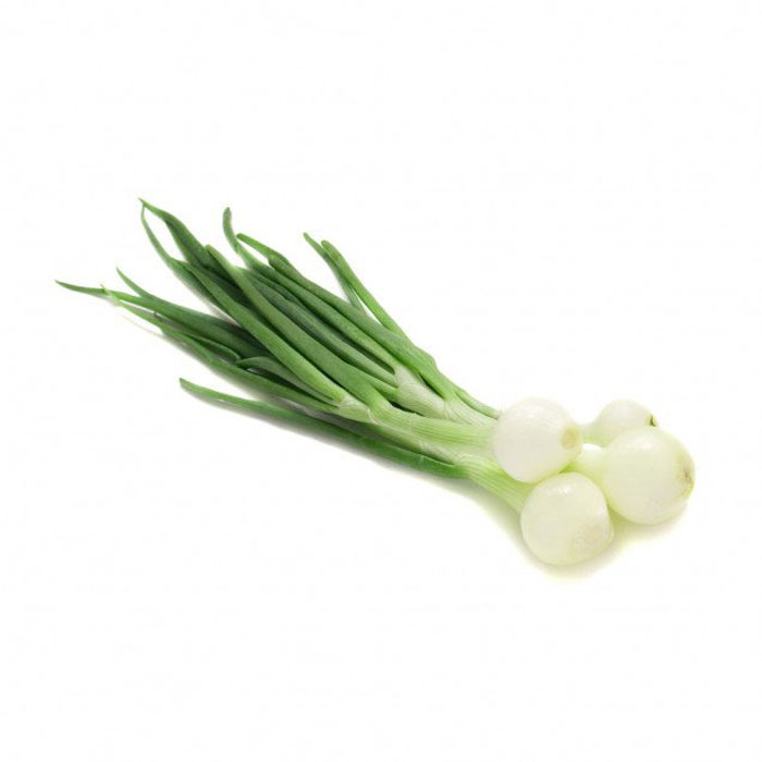 Oignon nouveau botte bio