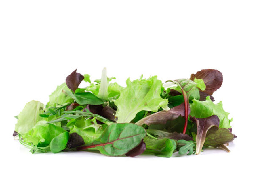 Mesclun bio