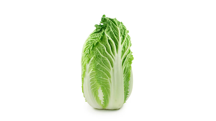 Chou chinois bio
