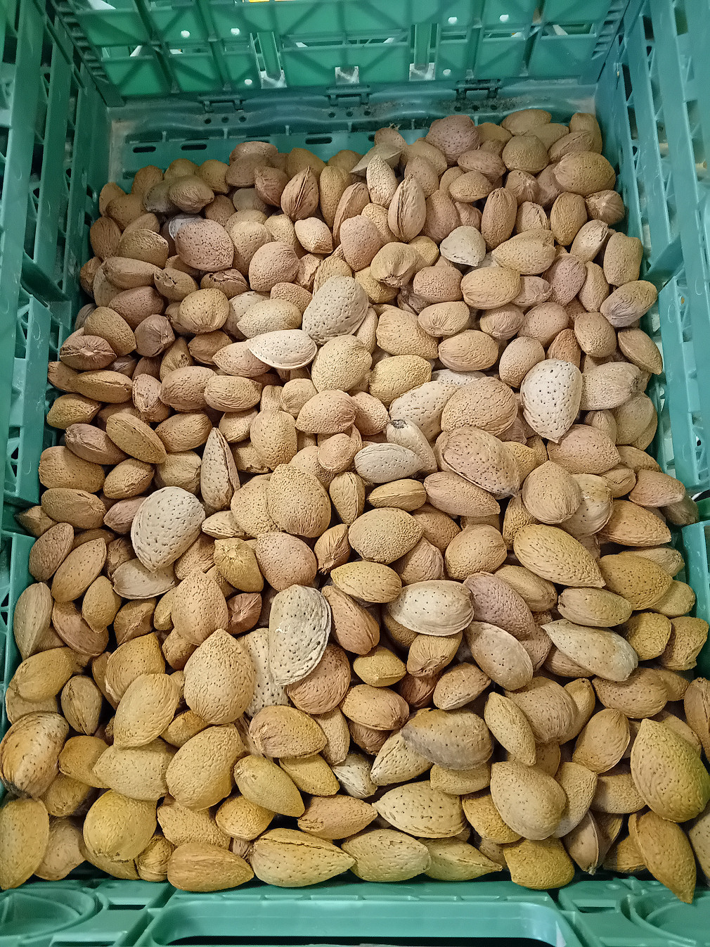 AMANDE VRAC BIO