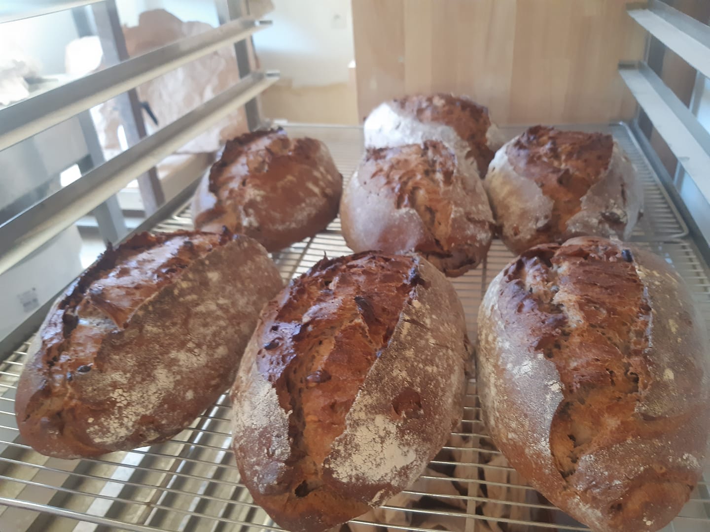 PAIN NOISETTES RAISIN 450g