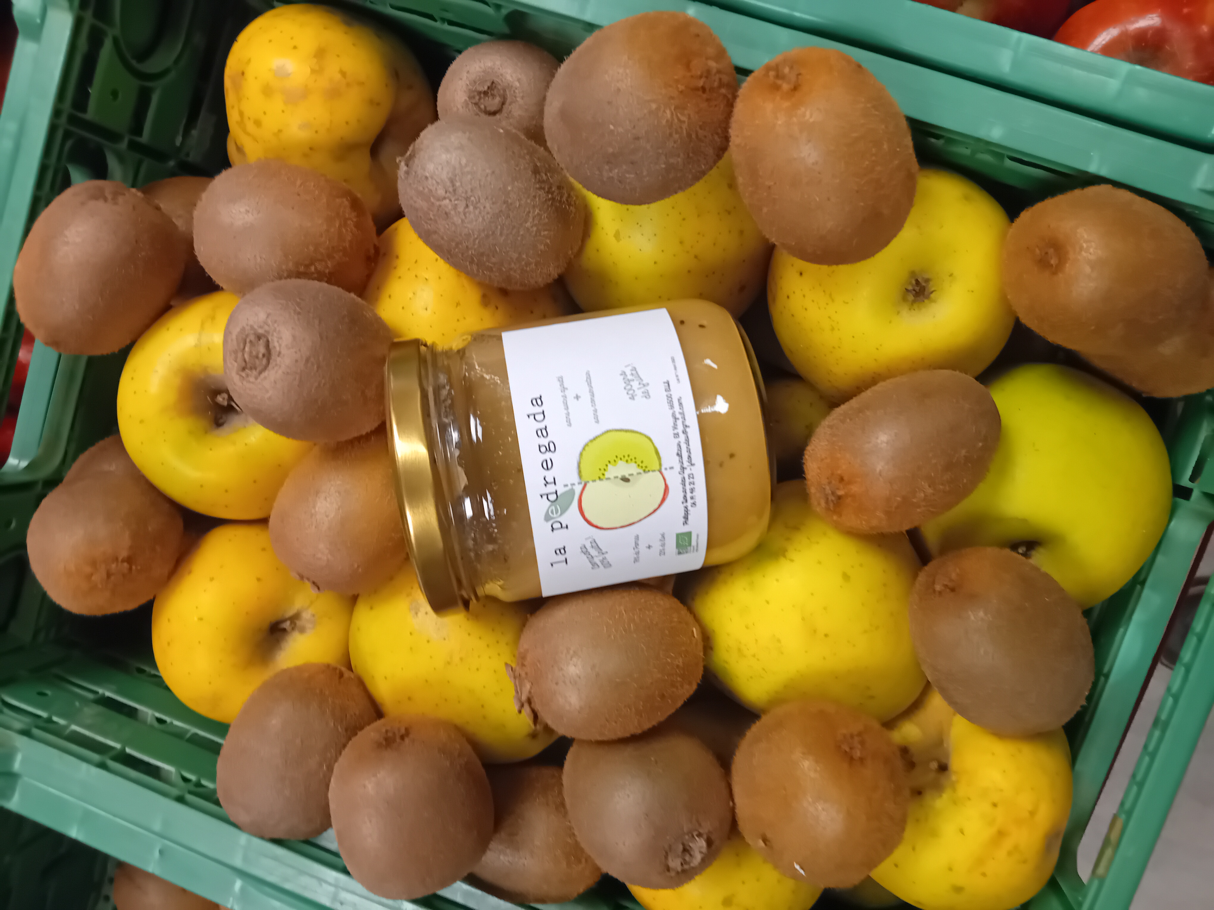 PUREE DE POMME-KIWI 400 G BIO